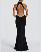 Vyla™ High Neck Halter Backless Maxi Dress