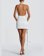 Vyla™ Halter Cowl Neck Backless Mini Dress