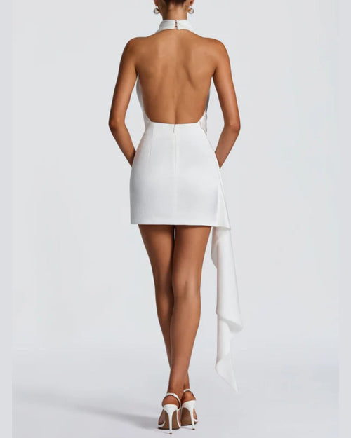 Vyla™ Halter Cowl Neck Backless Mini Dress