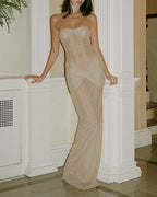 Vyla™ Strapless Shimmer Mesh Mermaid Maxi Dress